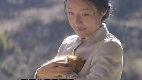 喊山迅雷下载_喊山高清资源在哪找