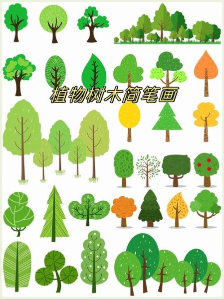 树简笔画大全图片_如何教孩子画树