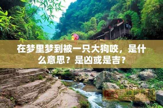 梦到狗咬别人_是什么意思