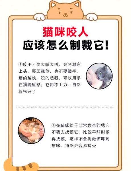 梦到被猫抓是什么意思_梦见猫抓伤手代表什么