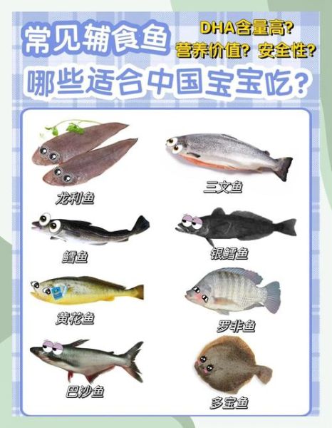 6个月宝宝吃什么鱼好_宝宝辅食鱼推荐