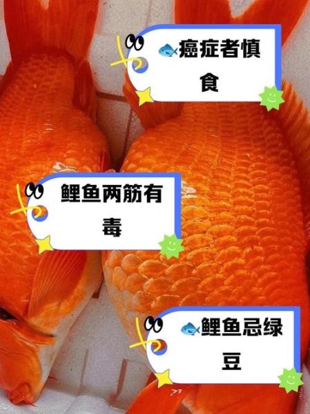 梦到吃小鱼是什么意思_梦见吃小鱼的吉凶预兆