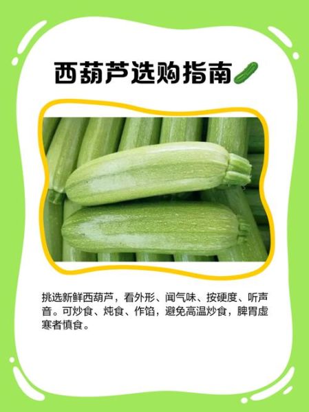 梦到西葫芦是什么意思_梦见西葫芦好不好