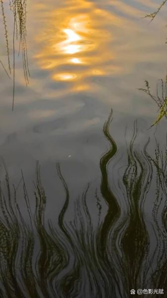 梦到河水是什么意思_河水梦境解析