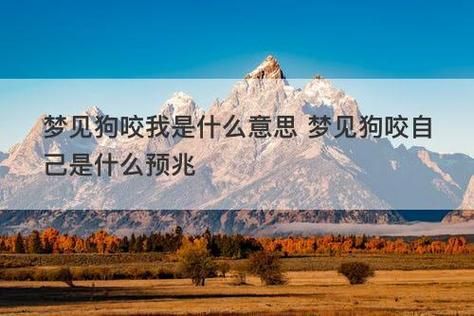 梦见狗是什么意思_梦到狗咬人代表什么