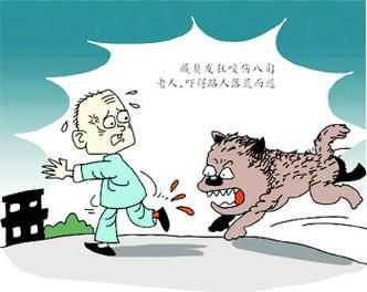 梦见狗是什么意思_梦到狗咬人代表什么