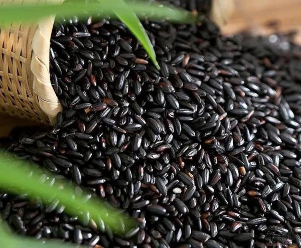 黑米图片大全_黑米长什么样