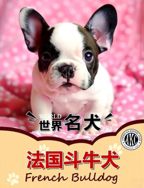 法国斗牛犬图片大全_法国斗牛犬多少钱一只