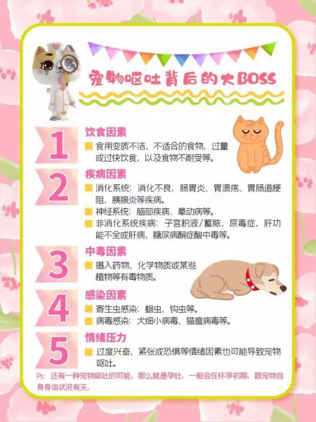 宝宝吃完饭突然全吐了怎么办_宝宝呕吐后多久能再进食