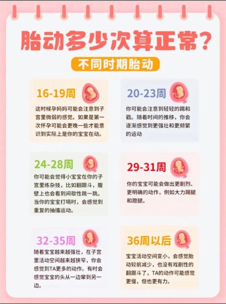 宝宝胎动图片怎么看_胎动频繁正常吗