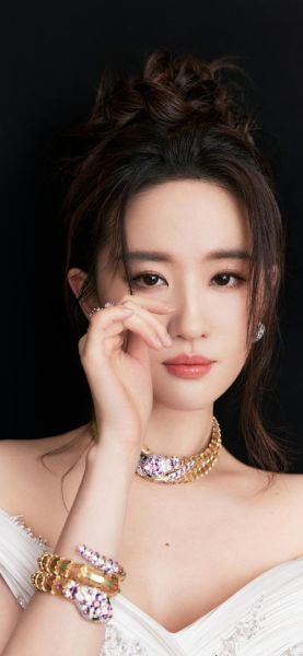 明星照片图片大全哪里找_如何高清下载